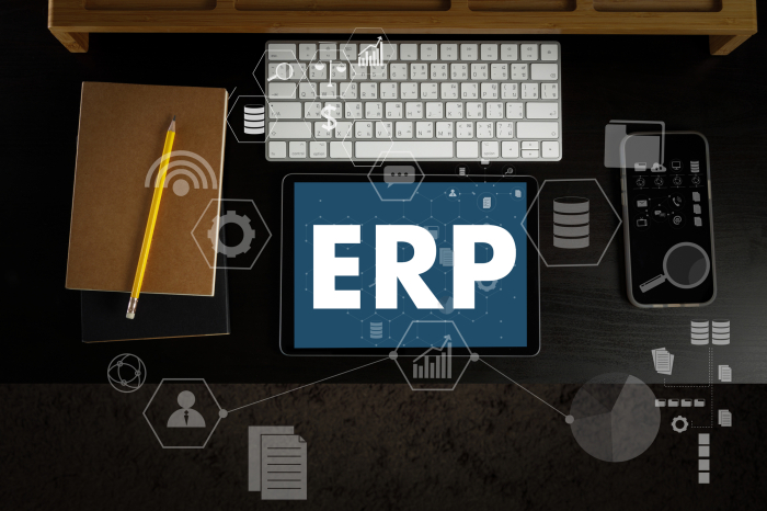 ERP案件について徹底解説！必要なスキル、経験、資格を紹介、その将来性を探る